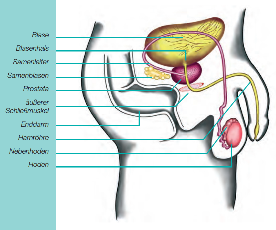 Terapia PSMA - Minute Medical