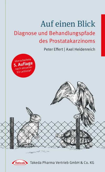 Auf einen Blick – Diagnose und Behandlungspfade Prostatakarzinom