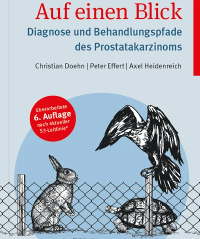Auf einen Blick – Diagnose und Behandlungspfade Prostatakarzinom