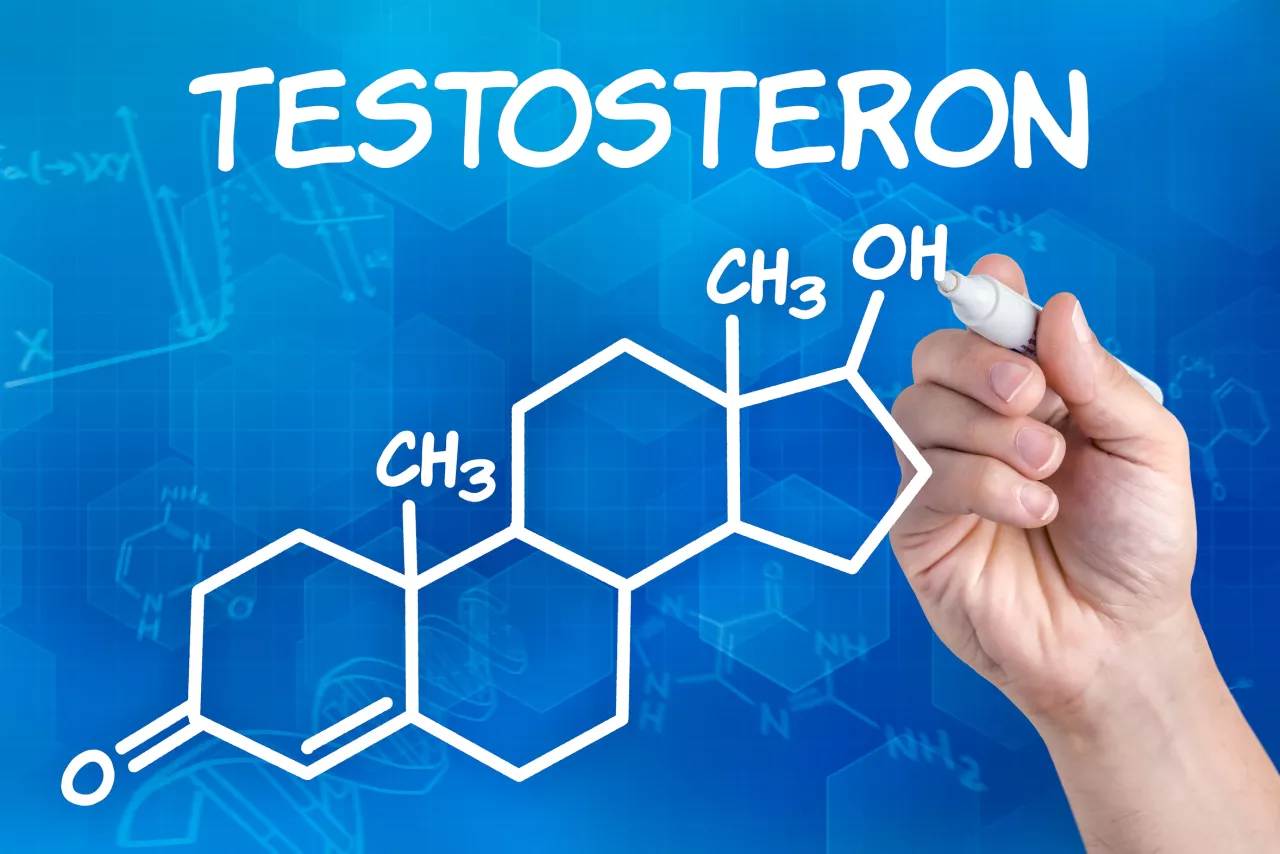 Doch kein Prostatakrebs durch hohe Testosteronwerte